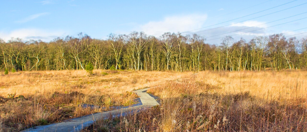Danes Moss Nature Reserve